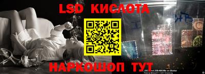 прущие крисы Будённовск