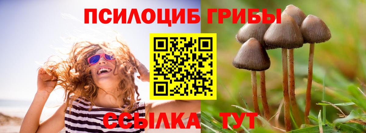 Лесозаводск  Псилоцибиновые грибы мухоморы  Вход с VPN  Псилоцибиновые грибы Psilocybine cubensis 